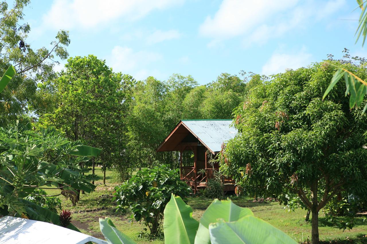 Kirpal Meditation And Ecological Center Pahoa Extérieur photo