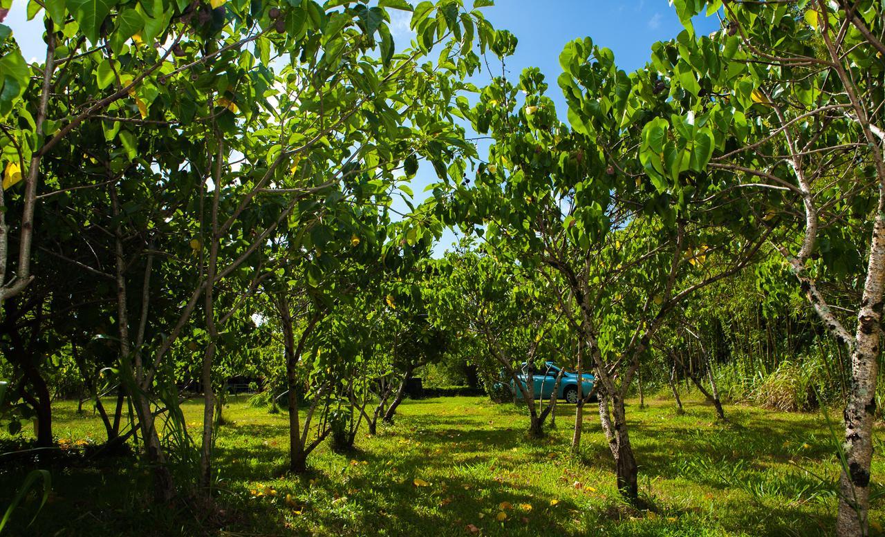 Kirpal Meditation And Ecological Center Pahoa Extérieur photo