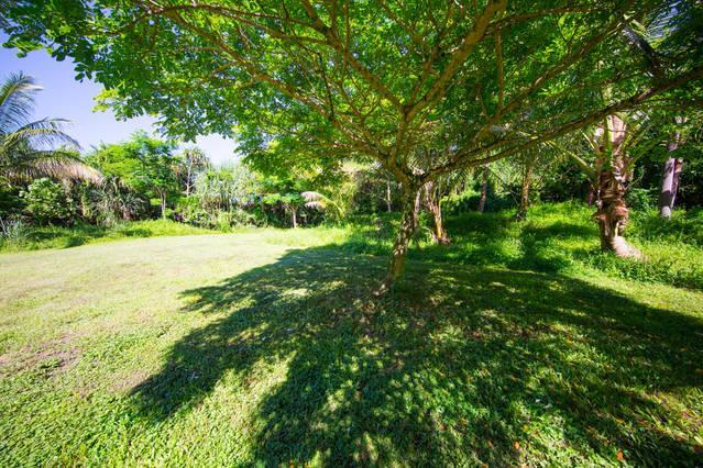 Kirpal Meditation And Ecological Center Pahoa Extérieur photo