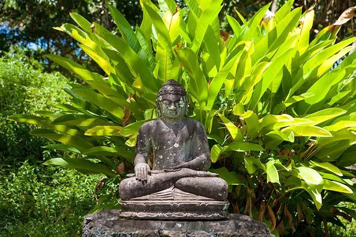 Kirpal Meditation And Ecological Center Pahoa Extérieur photo